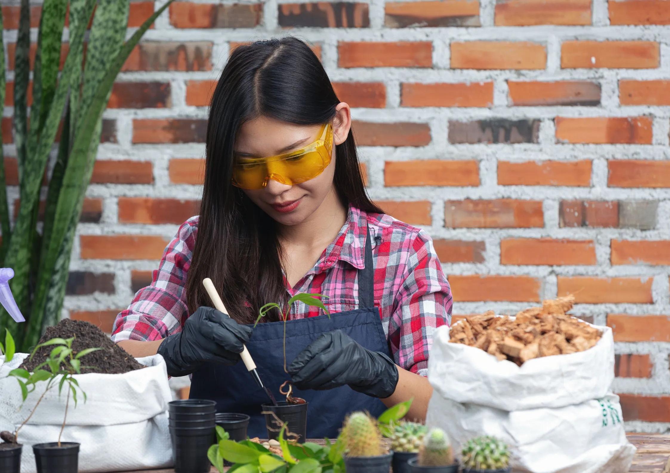 BSc Hons Agriculture Course Details, Admission and Scope in Gurugram