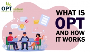 What is OPT What is OPT